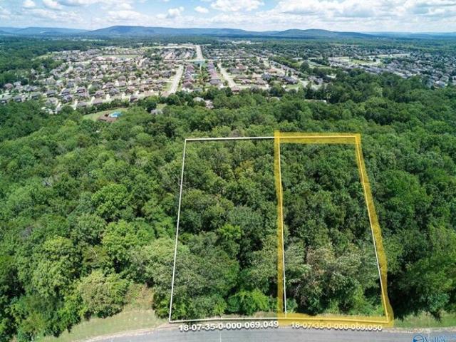 Land for sale in Owens Cross Roads, Alabama