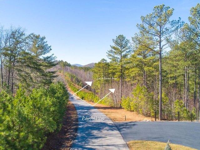 Land for sale in Blairsville, Georgia