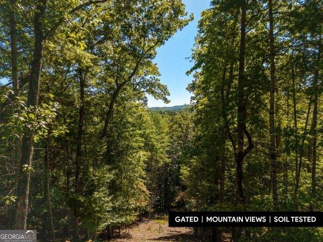 Land for sale in Blue Ridge, Fannin County