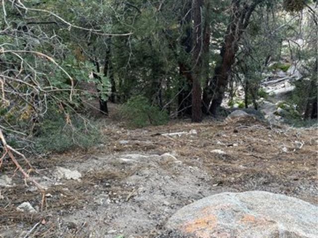 Land for sale in Green Valley Lake, California
