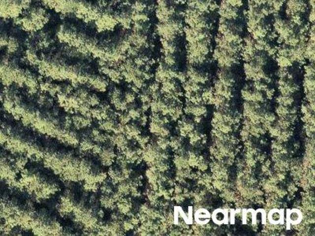 Land for sale in Willis, Texas