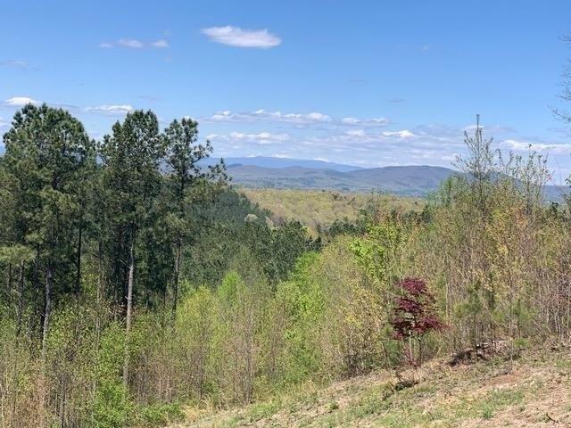 Land for sale in Blairsville