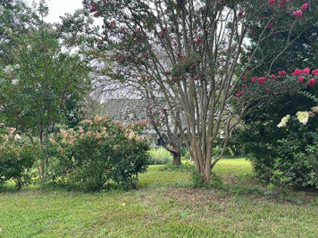House for sale in Dahlonega, Georgia