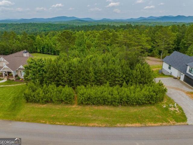 Land for sale in Blairsville