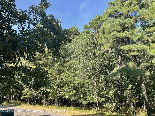 Land for sale in Browns Mills, New Jersey