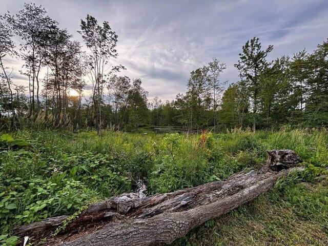 Land for sale in Hooversville