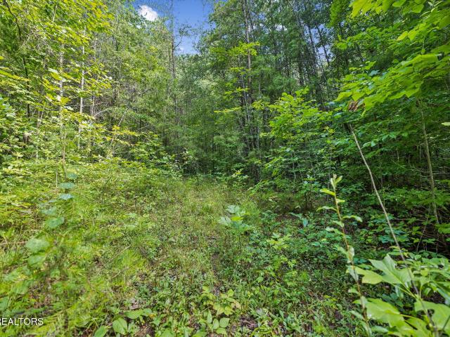 Land for sale in Tennessee