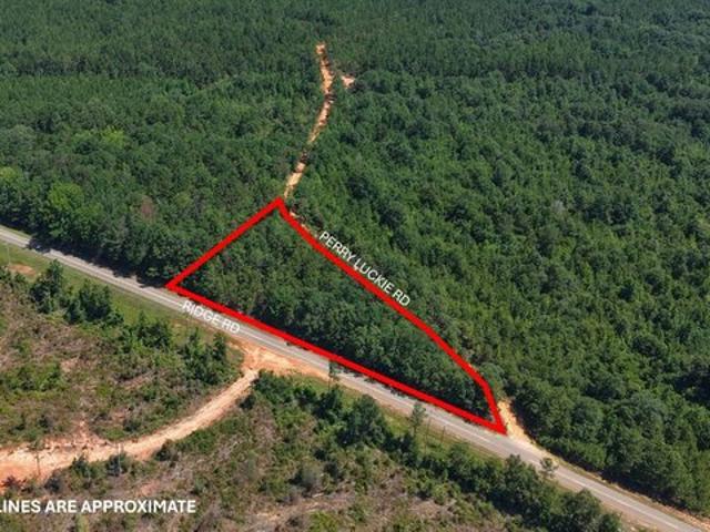 Land for sale in Greenville, Alabama