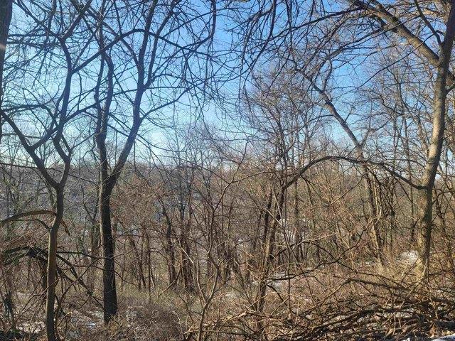 Land for sale in Galena, Illinois