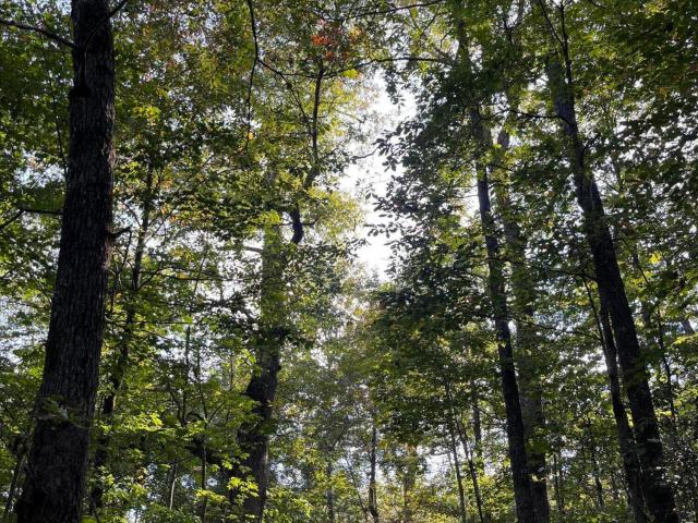 Land for sale in Tennessee