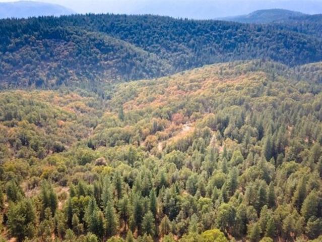 Land for sale in Foresthill Land for sale in Foresthill