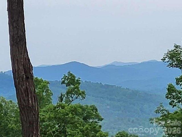 Land for sale in Rutherford, North Carolina