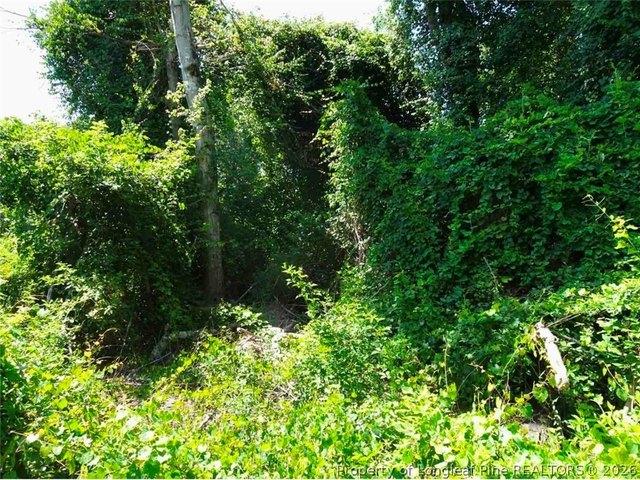 Land for sale in Eastover, Cumberland County
