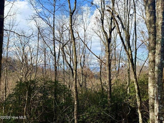 Land for sale in Brasstown, North Carolina