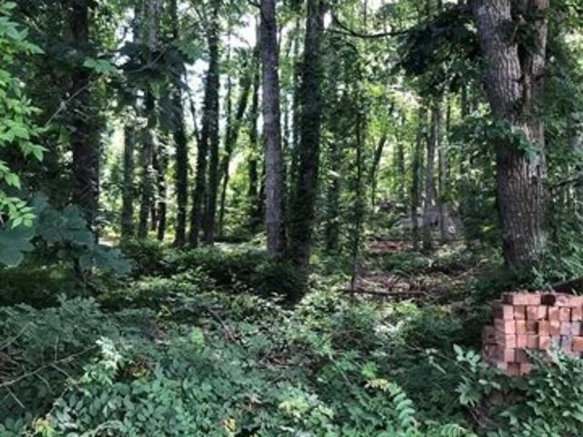 Land for sale in Salisbury