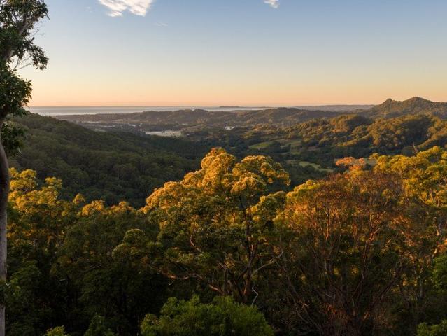 Land for sale in Crabbes Creek, New South Wales