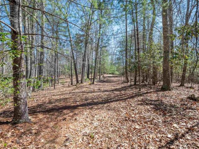 Land for sale in Virginia