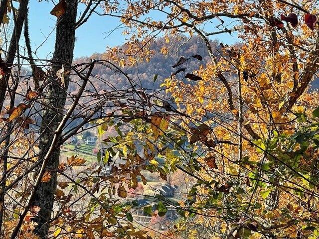 Land for sale in Hayesville