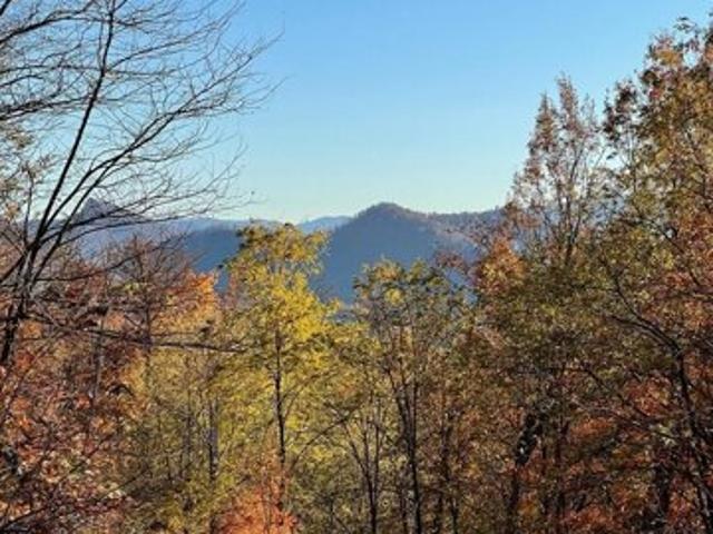 Land for sale in Hayesville