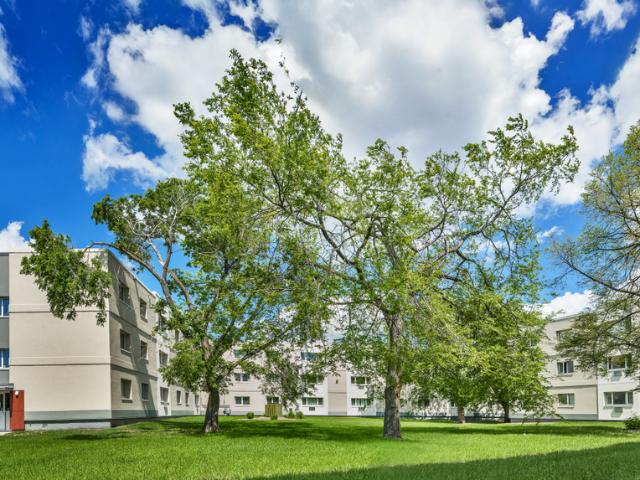 Apartment for rent in East St. Paul, Manitoba
