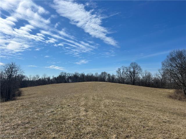 Land for sale in Blue Rock, Ohio