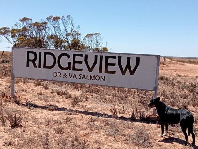 Cottage for sale in Wandana, South Australia