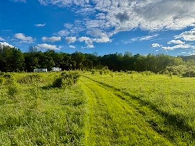 Land for sale in Plymouth, New York