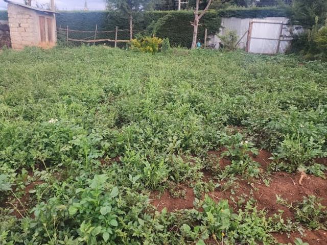 Land for sale in Kasarani, Nairobi