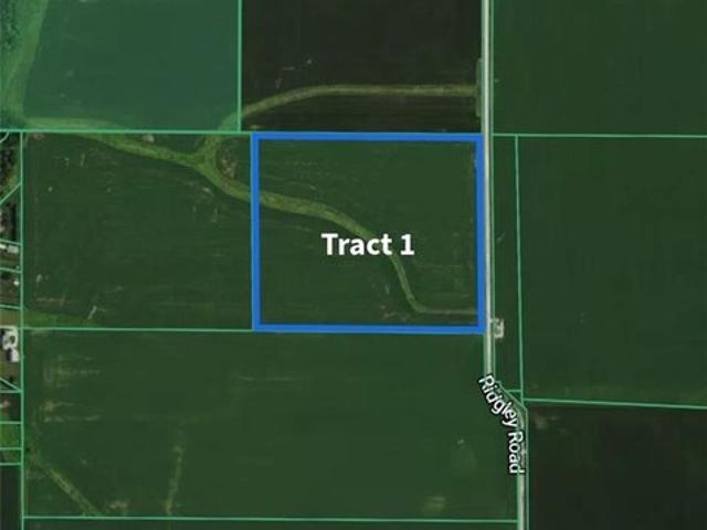 Land for sale in Dalton City, Illinois