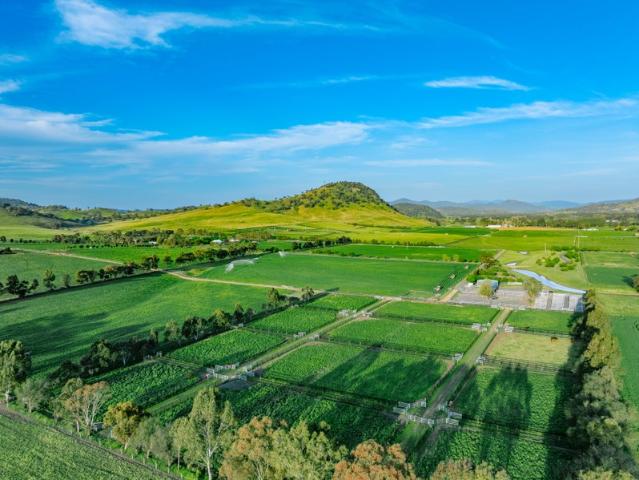 Property for sale in Segenhoe, New South Wales