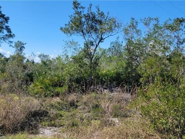 Land for sale in Lorida, Florida