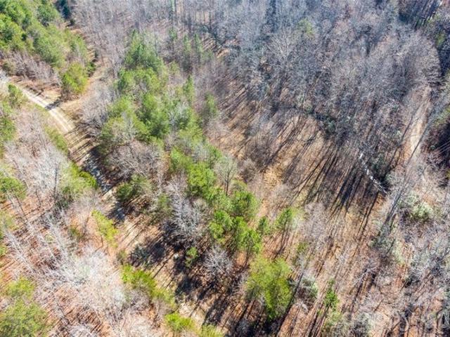 Land for sale in Rutherford, North Carolina