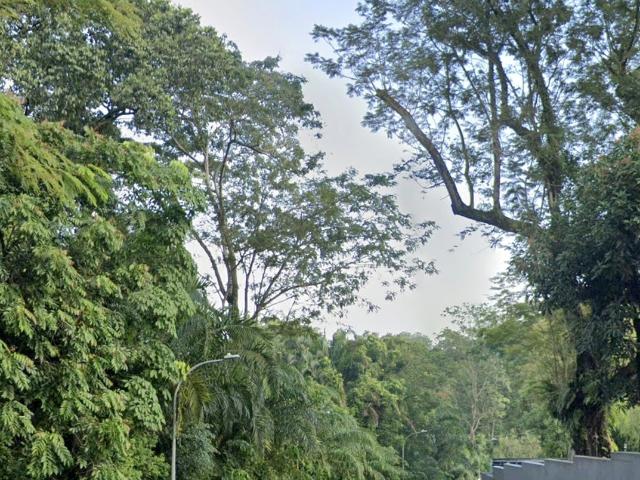 Detached House for rent in Tanglin Road