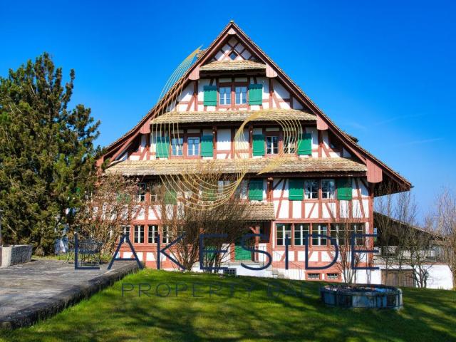 Haus mieten in Horgen, Zürich