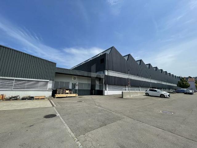 Atelier mieten in Wittenbach, St. Gallen