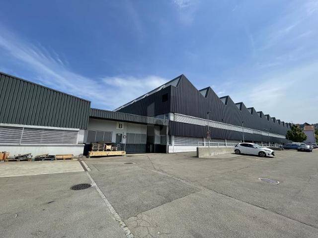 Industrie mieten in Wittenbach, St. Gallen