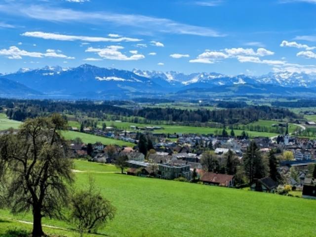 Wohnung mieten in Mettmenstetten, Zürich