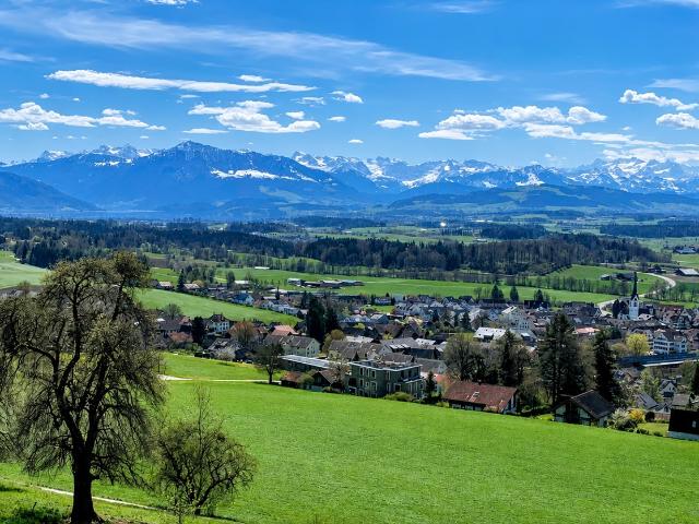 Apartment mieten in Mettmenstetten, Zürich
