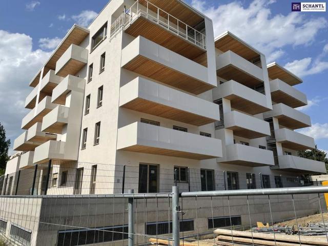 Wohnung mieten in Steiermark