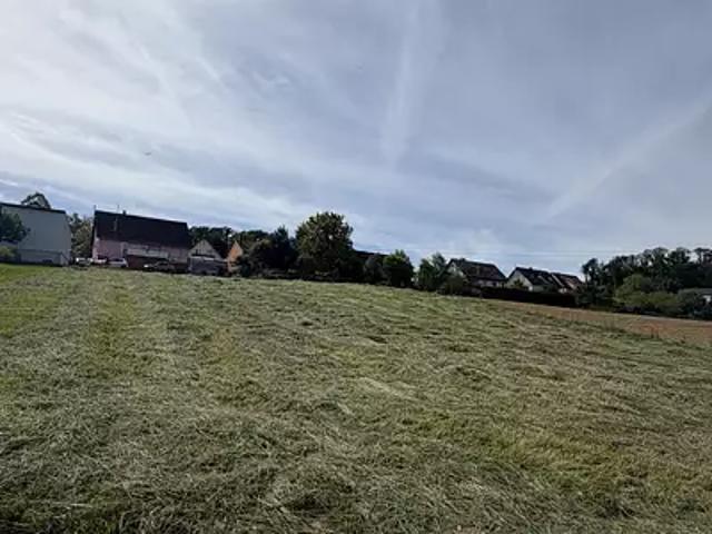 Terrain vente à Riespach, Collectivité européenne d'Alsace