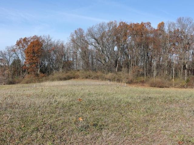 Land for sale in Grass Lake, Michigan