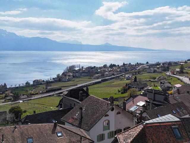 Haus kaufen in Bourg-en-Lavaux, Waadt