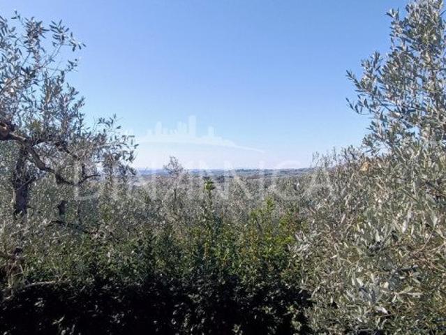 Casa in vendita a Vinci, Firenze