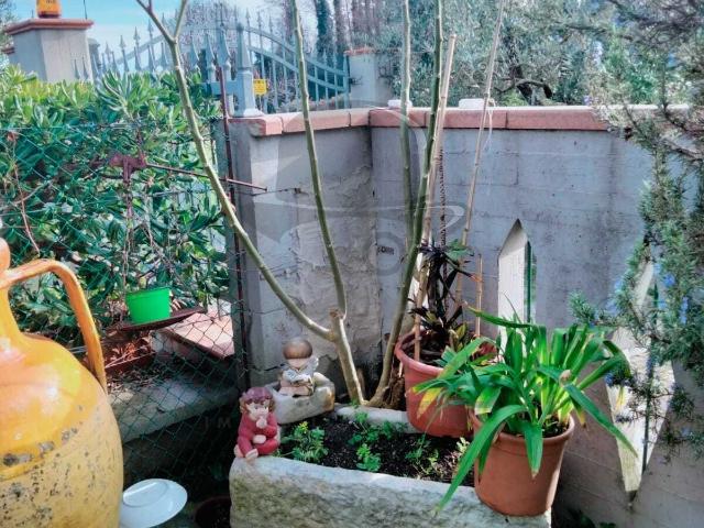 Appartamento in affitto a San Carlo, Marina Di Massa