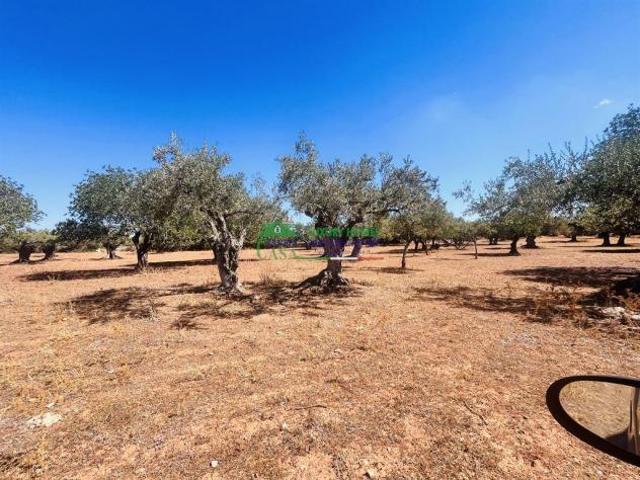Terreno in vendita a Ragusa, Sicilia