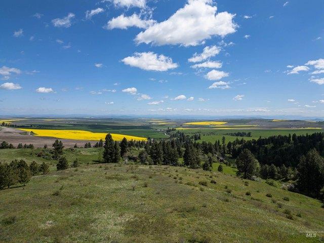 Land for sale in Ferdinand, Idaho