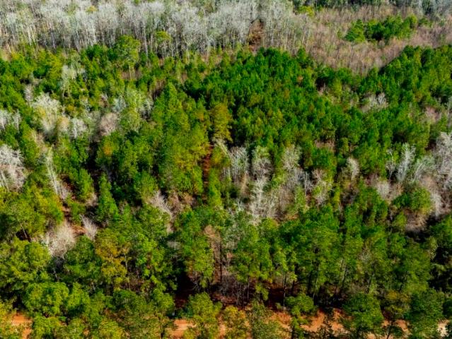 Land for sale in Statesboro, Georgia