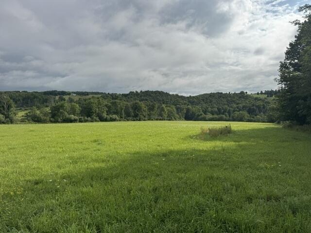 Land for sale in Bradford, Pennsylvania