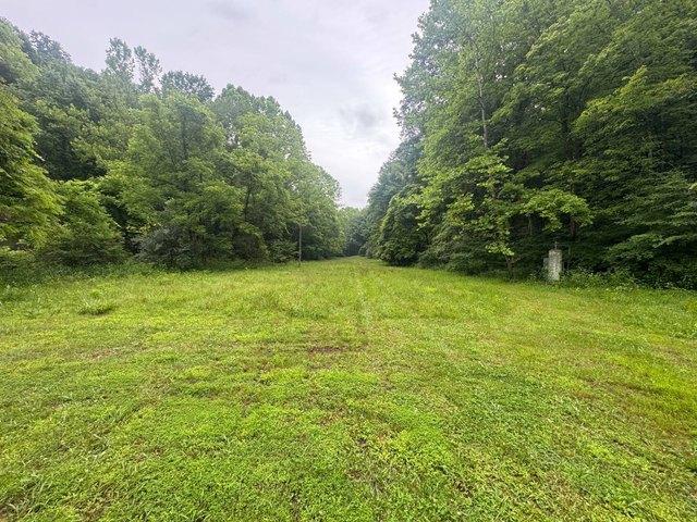 Land for sale in Saint Marys, West Virginia