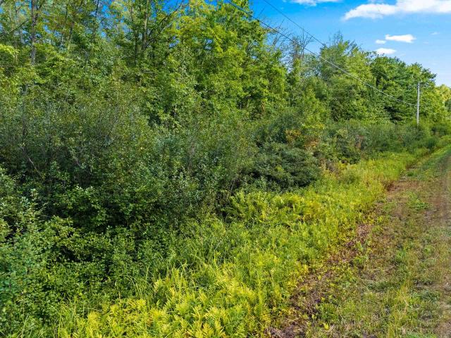 Land for sale in Wisconsin